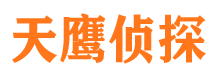 汉南市侦探公司